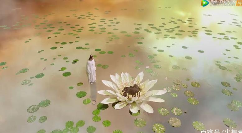 《扶摇》妖莲出场,杨幂一身黑衣让人惊艳,网友