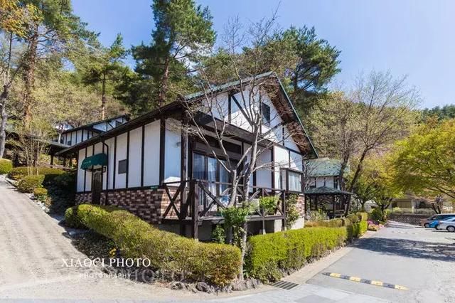 日本富士山|樱花季美哭了,旅行全攻略收藏起来