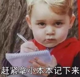 房地产会计干货-房地产会计做账流程及常见会