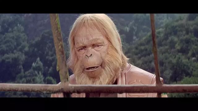 j·麦凯伊·格鲁伯执导,艾什顿·库彻,艾米·斯马特,约翰·帕特里克