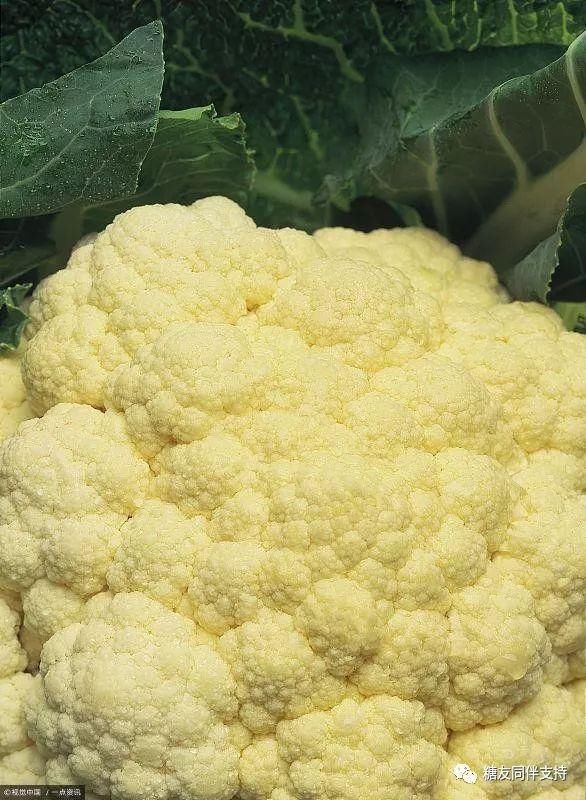 糖尿病吃什么菜好?助控糖的蔬菜全在这里!