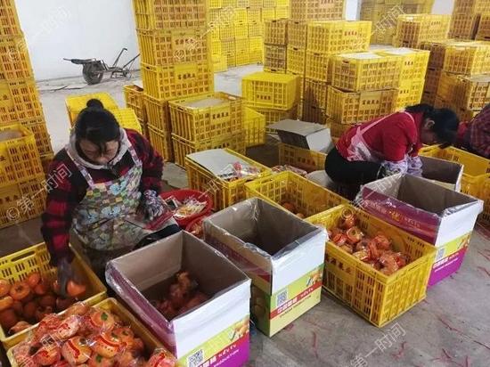 恭城生态农业厉害了!户均年收入将近13万
