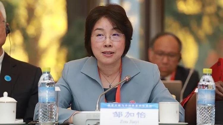 央行货币政策委员会唯一女委员,曾是中纪委“打虎女将” 央行货币政策委员会唯一女委员,曾是中纪委“打虎女将”