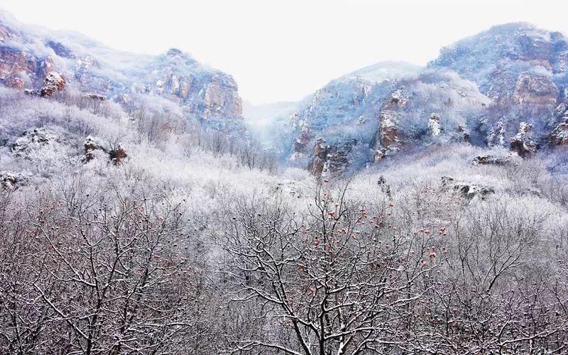 北京的冬天,这些公园最适合带着女朋友去!