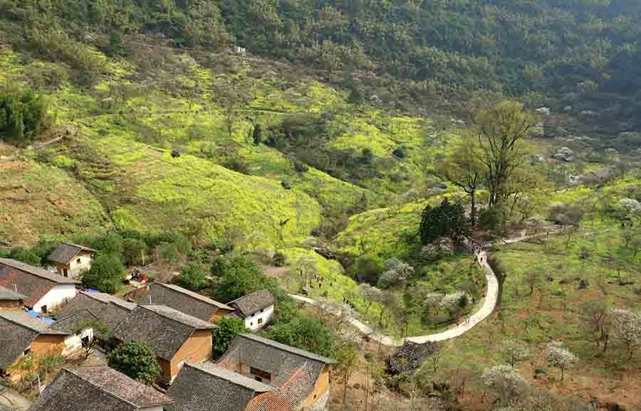 2月26日,在融安县东起乡铜板屯航空拍摄的乡村美景.