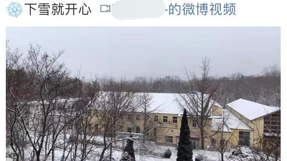 985女研究生校园内遇车祸身亡，肇事者曾任副校长