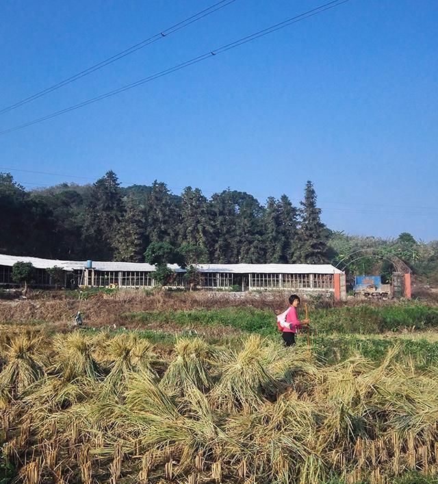 2018年回农村去做养殖,养什么好呢,这6条指标