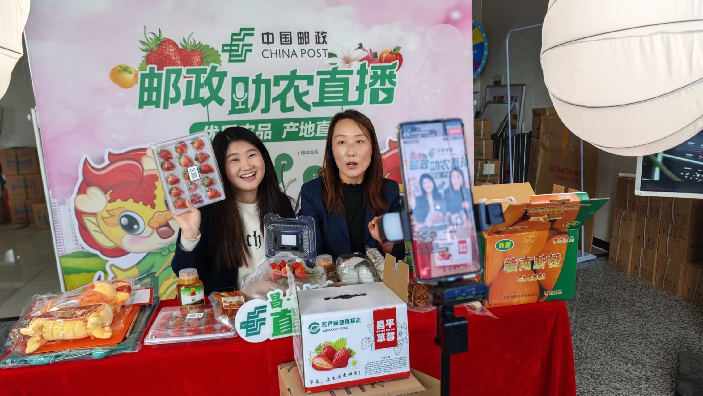 订单农业、直播带货!昌平多举措助销本地农产品 订单农业、直播带货!昌平多举措助销本地农产品