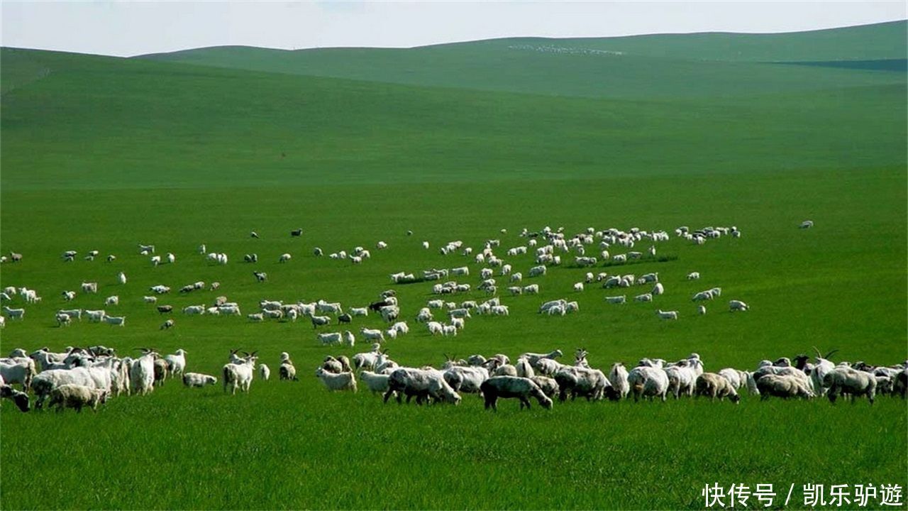 我国陆地面积最大的城市,比一个省还大,你知道