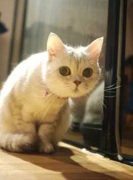 3分利的借贷利息怎么算?是高利贷吗?