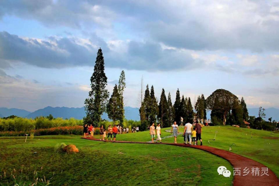 汉中西乡湿地公园 美滴莫法 孔雀开屏戏游人!