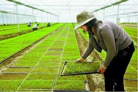 今年河北将重点推进16个农村集体产权改革试