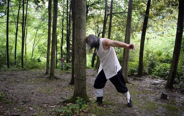 何道君为练铁布衫头部,经常会用头去撞树