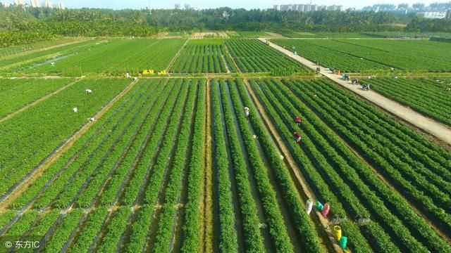 想在农村老家建房,但是宅基地批不到怎么办?自