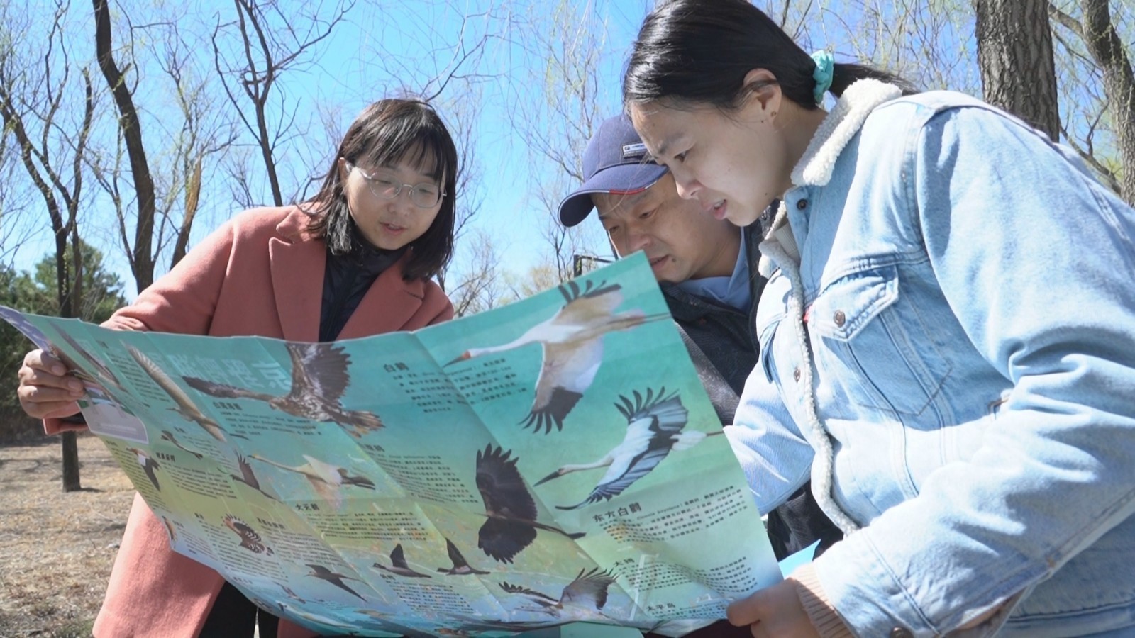 北京野鸭湖湿地观鸟图正式发布