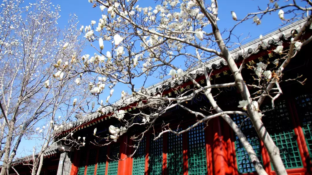 民国时期的“梁祝绝恋”,陶然亭公园里一段凄美的爱情故事 民国时期的“梁祝绝恋”,陶然亭公园里一段凄美的爱情故事