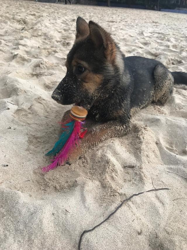 广州自驾游攻略:夏天,组织公司大部队看海去