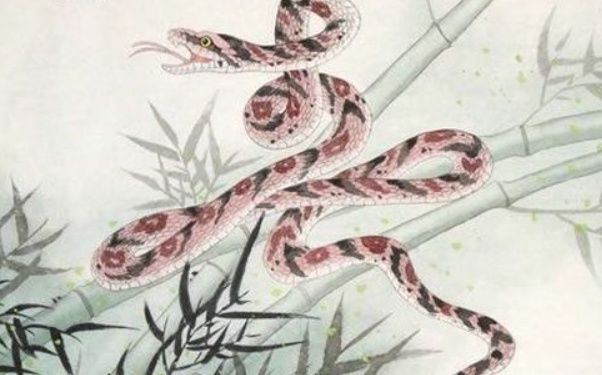 算命说:10月起转运发财的3个生肖,一富几十年