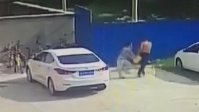 现实版愚蠢的窃贼!男子消防队门前抢劫 现实版愚蠢的窃贼!男子消防队门前抢劫