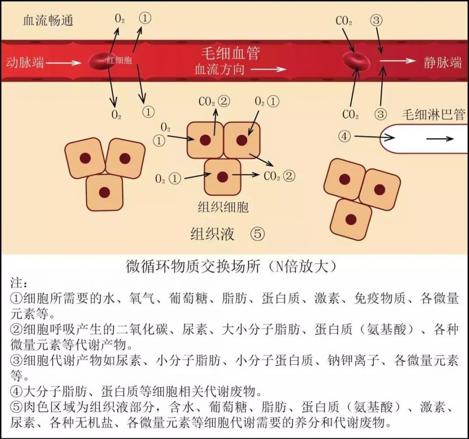 很多糖友吃二甲双胍、格列齐特片等降糖药,换