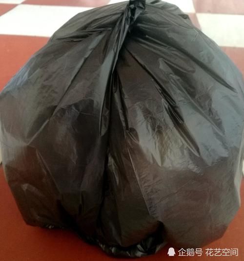 三角梅长寿花蟹爪兰,开花少,戴个黑帽子,花开爆