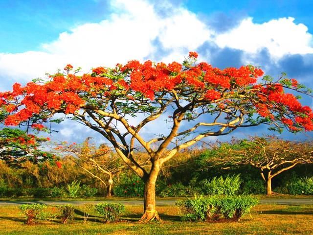 2018年厦门旅游攻略,几月去厦门旅游舒适?厦