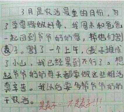 分作文,家长看了想砸电脑,网友:一看就是网瘾少