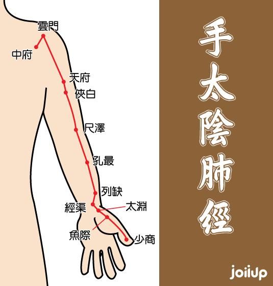 中医《针灸学》手太阴肺经重点穴位讲解
