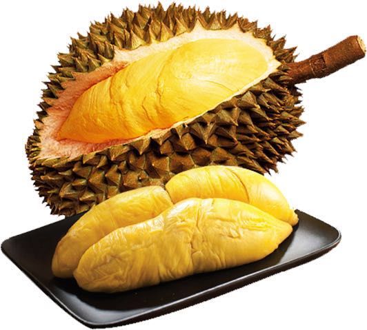 马来西亚劳勿正宗猫山王榴莲以橙黄为主,肉质丰厚,果核极小,让您吃到