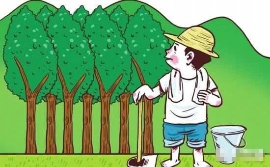 退耕还林者 此项补贴专门针对那些家里有坡地,而且倾斜度都在25度以上