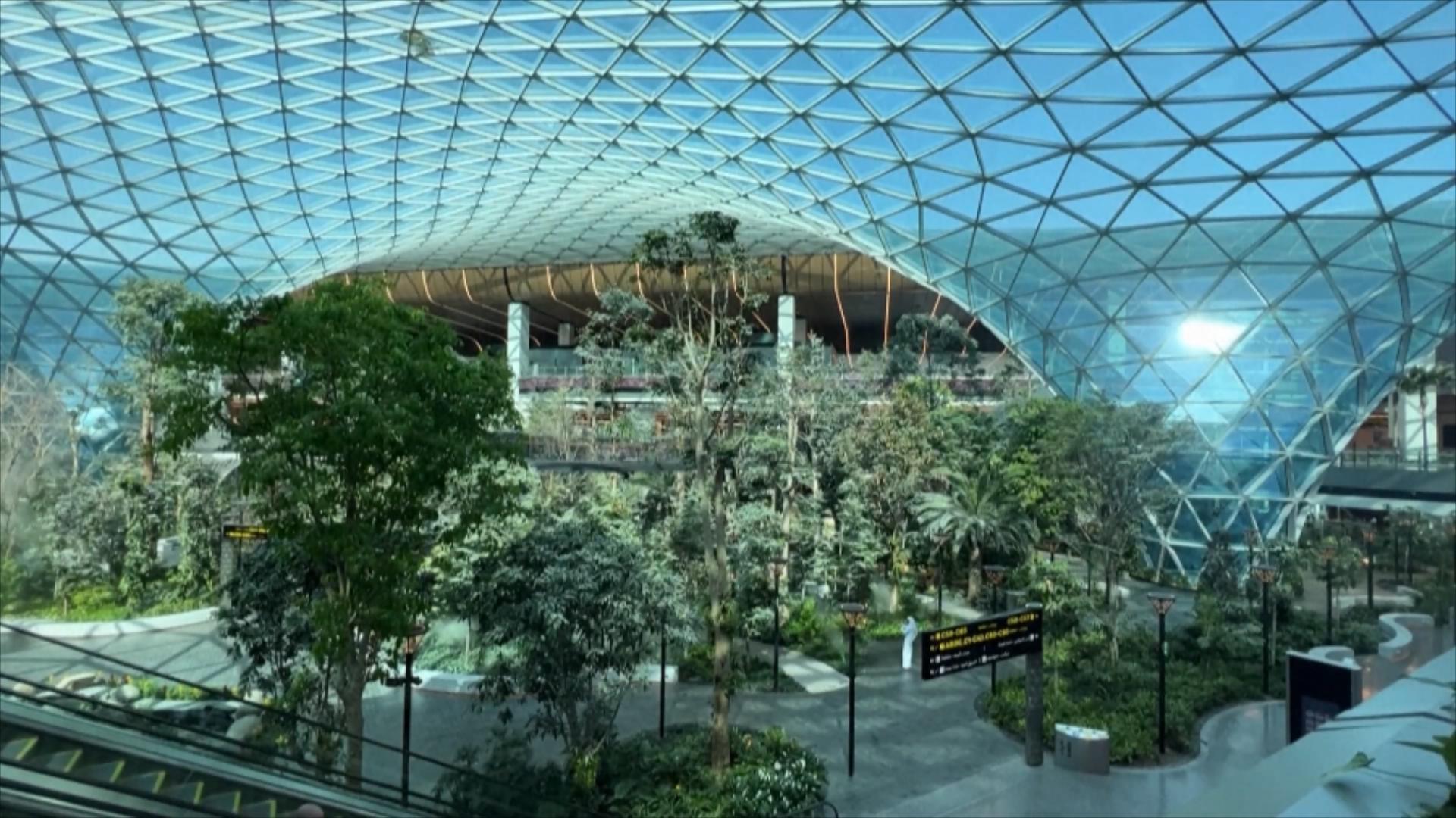 迎接世界杯 卡塔尔哈马德国际机场扩建完成 迎接世界杯 卡塔尔哈马德国际机场扩建完成