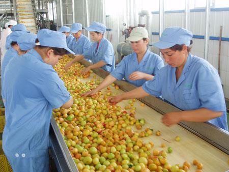 2018年富士康又招工?今年工人的工资涨了又涨