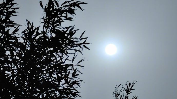 北风呼啸，漫天昏黄！北京上空再现“蓝太阳”