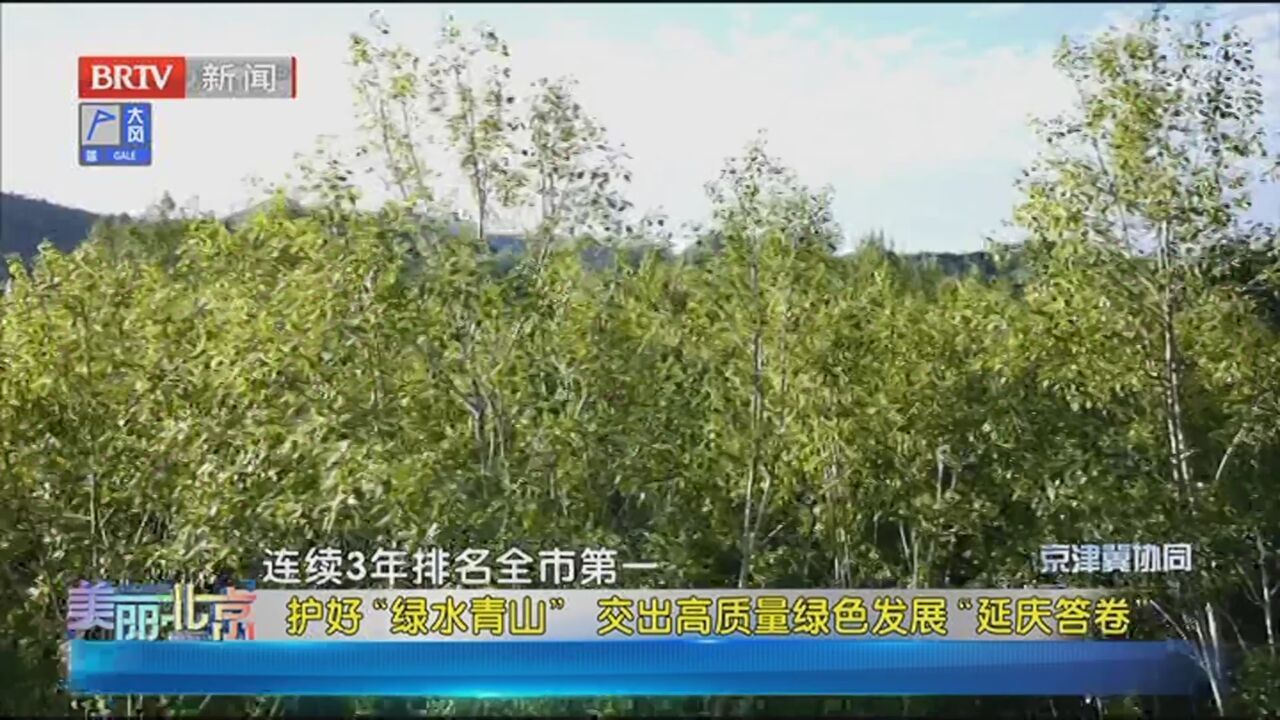 《美丽北京》20240301护好绿水青山 交出高质量绿色发展“延庆答卷”
