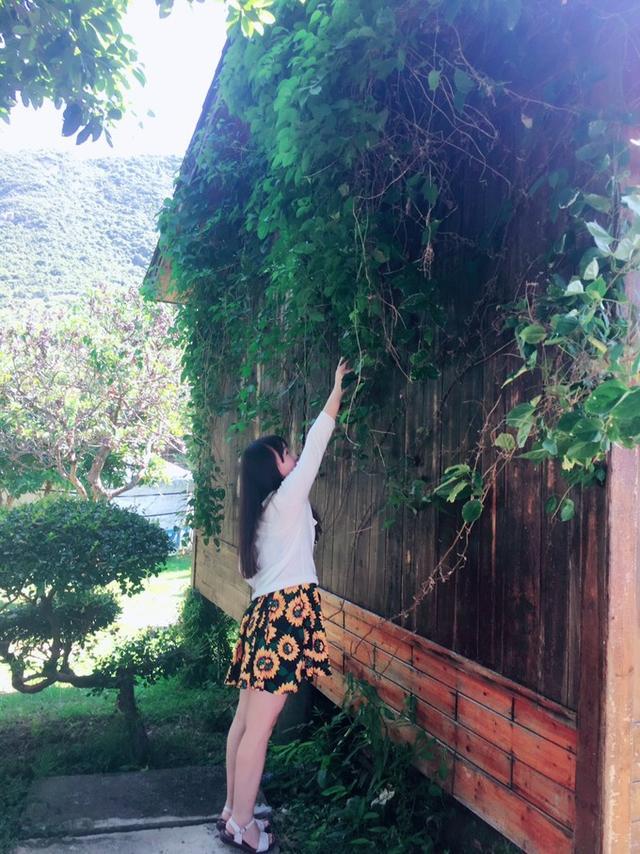 广州自驾游攻略:夏天,组织公司大部队看海去