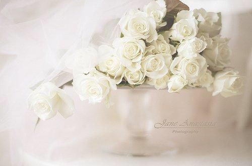 一个人心累伤感的爱情说说短语,写进心窝里