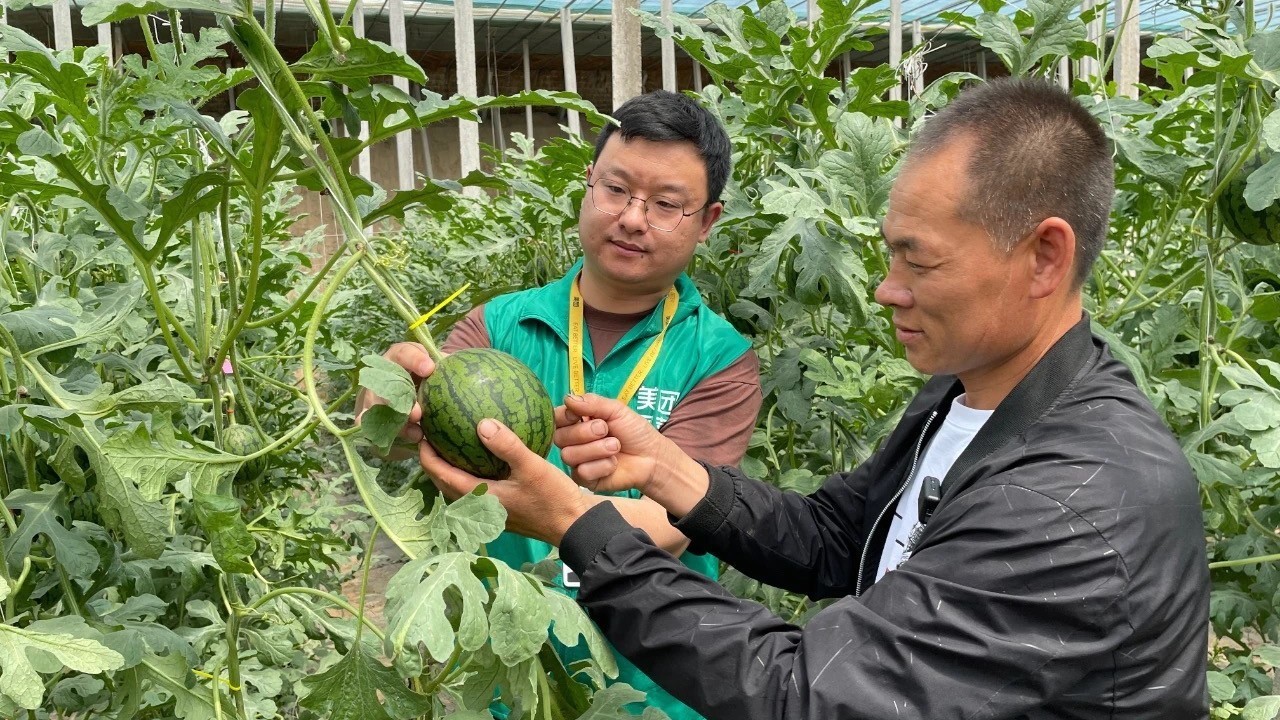 吃瓜可领券!大兴头茬瓜即将上市 吃瓜可领券!大兴头茬瓜即将上市