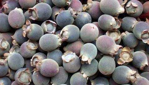 姚金娘配一物,每天晚上睡前喝一杯,男人补肾,女