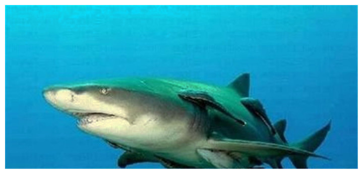 t011be2f5f43b5d796a.jpg?size=720x346