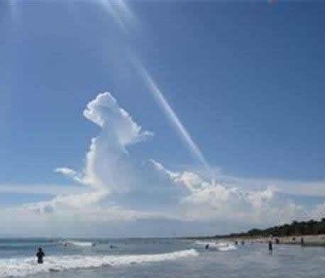 世界上有人拍到麒麟:村民无意中拍到了远古神