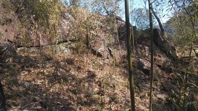 诹择秘典择日篇之丙子日十二时辰吉凶,各命吉