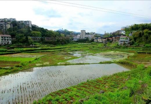 綦江石壕镇:地质大队新发现一个野外攀岩,探险的绝佳地点,非常具有