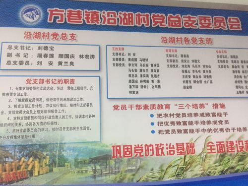 环市行·邗江方巷沿湖村：“退养还湖”打造江苏最美乡村