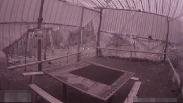 扫黑除恶深山聚赌 警察照样一窝端