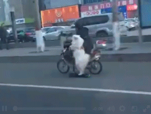 美女的屁股和汉子的屁股差距在哪?看看图四就知道了