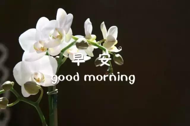 早安语录温暖语句 早安心语正能量分享