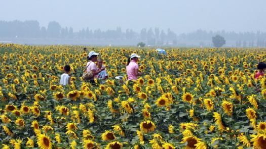 山东东营高铁要开建:线路长度约50千米,时速3