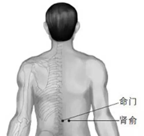 神闕穴,就是肚臍眼.