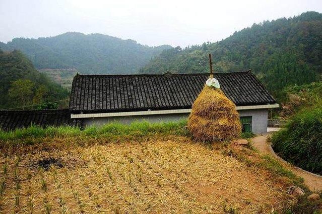 真實的農村是什麼樣的?11張圖帶你看看真農村生活!