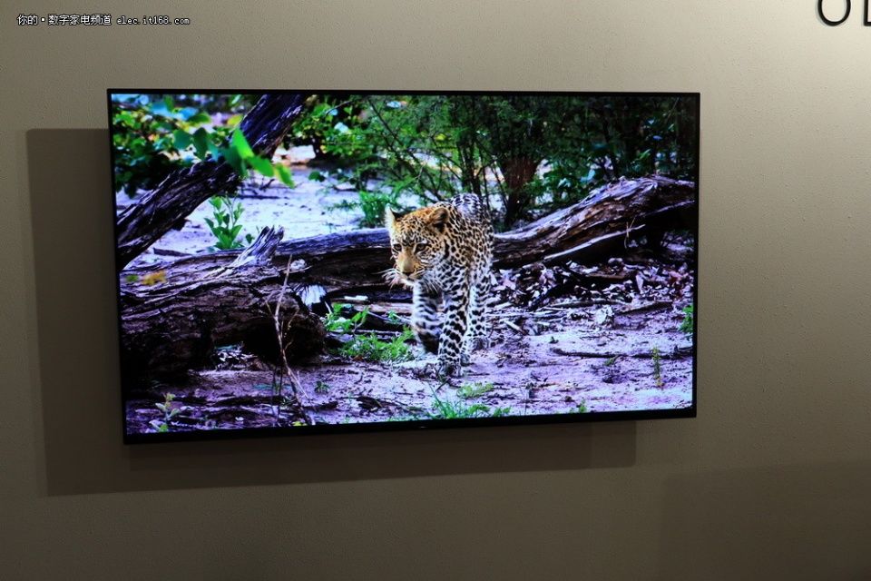 索尼电视新品首发 A8F\/X9000F\/X8500F图赏